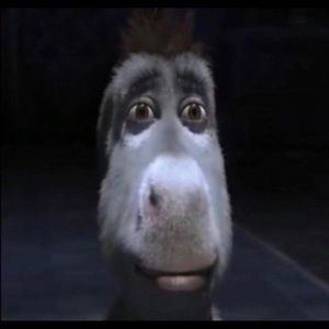 Meet your Posher, Ben